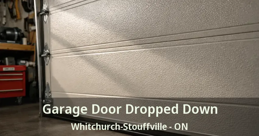 Garage Door Dropped Down Whitchurch-Stouffville - ON